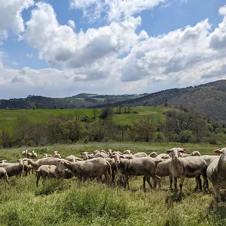 別荘 La Grange, Le Hameau Des Volcans - Deconnexion Face A La Vue Saint-Just-pres-Brioude