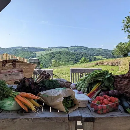Grange Renovee - Calme Et Vue Sur Les Volcans * Saint-Just-pres-Brioude
