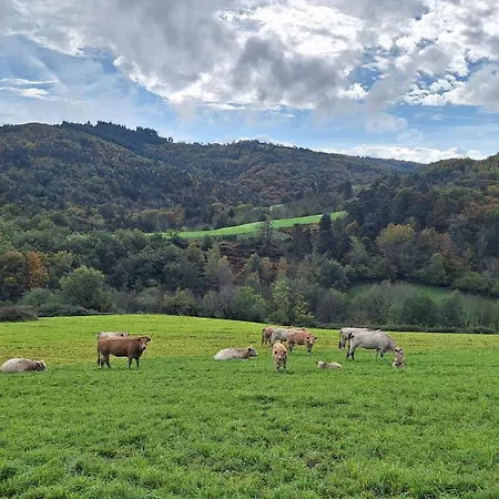 Grange Renovee - Calme Et Vue Sur Les Volcans *